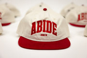 Abide (John 15) Hat