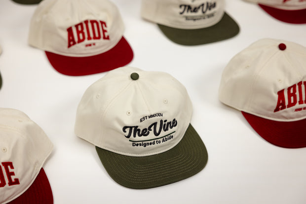 The Vine: Designed to Abide Hat